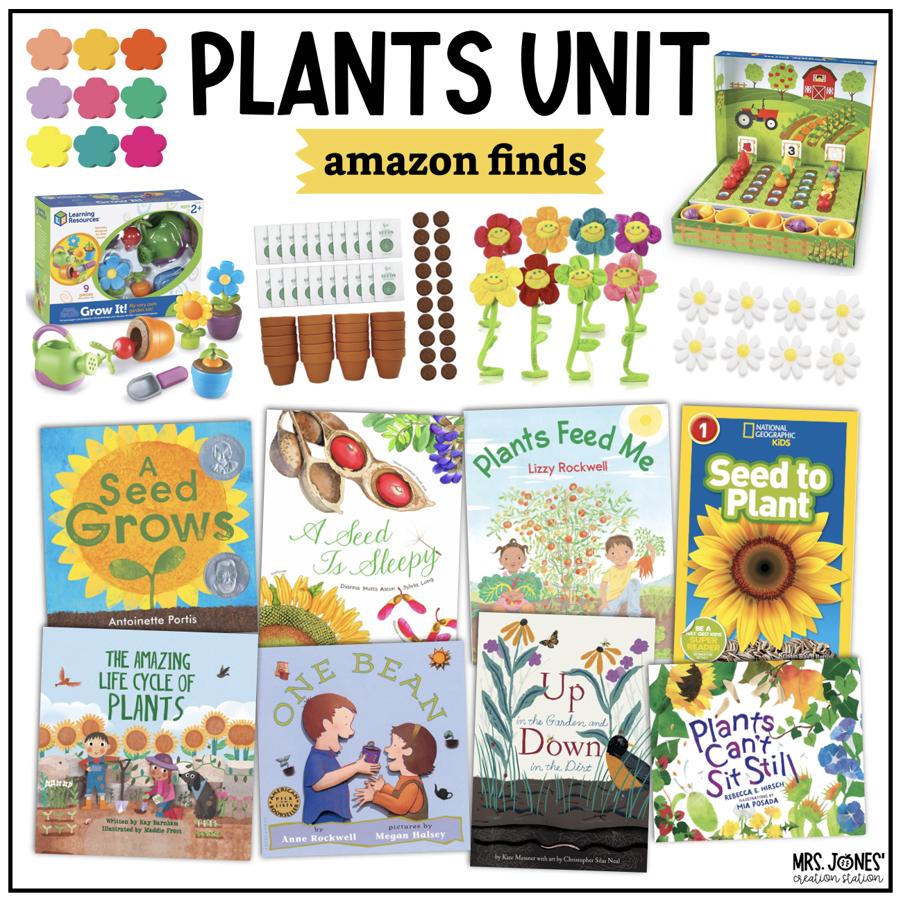 Amazon books and activities for a plant unit